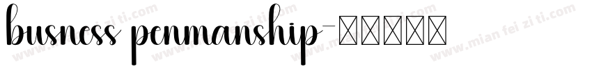 busness penmanship字体转换